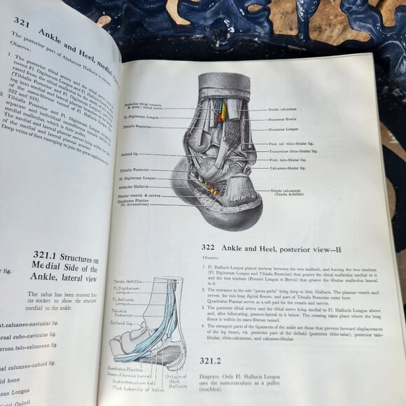 Grants Atlas Of Anatomy Sixth Edition Hardcover By J.C. Boileau Grant - Picture 6 of 15